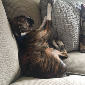 Meet your Posher, Katie